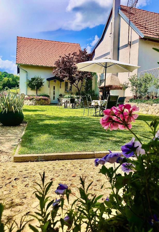 Holiday House Apartments Dajcic Varazdinske Toplice Exteriör bild