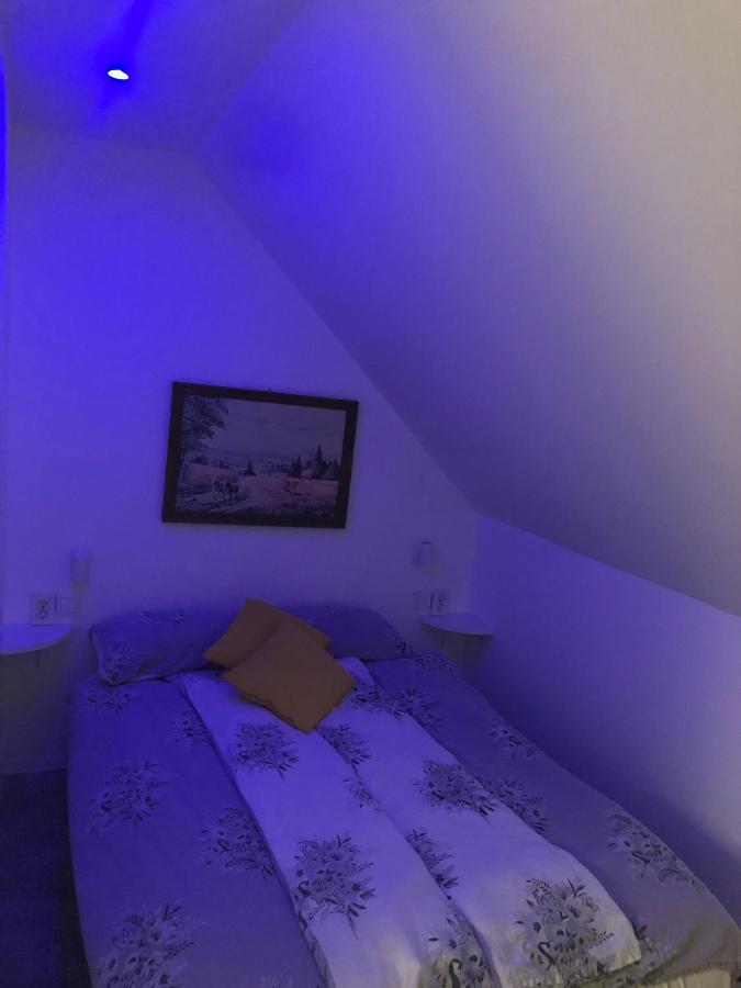 Holiday House Apartments Dajcic Varazdinske Toplice Exteriör bild